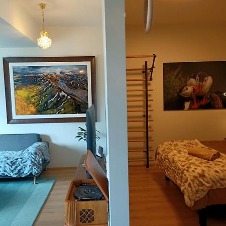Puffin Nest, Superior Apartment Reykjavik Bagian luar foto
